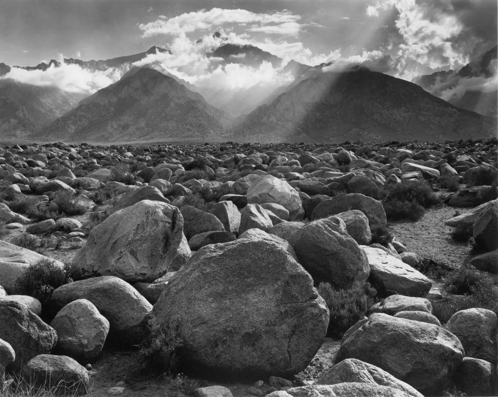 anseladams