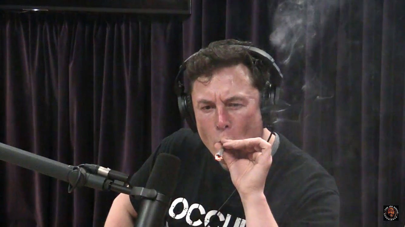 elon
