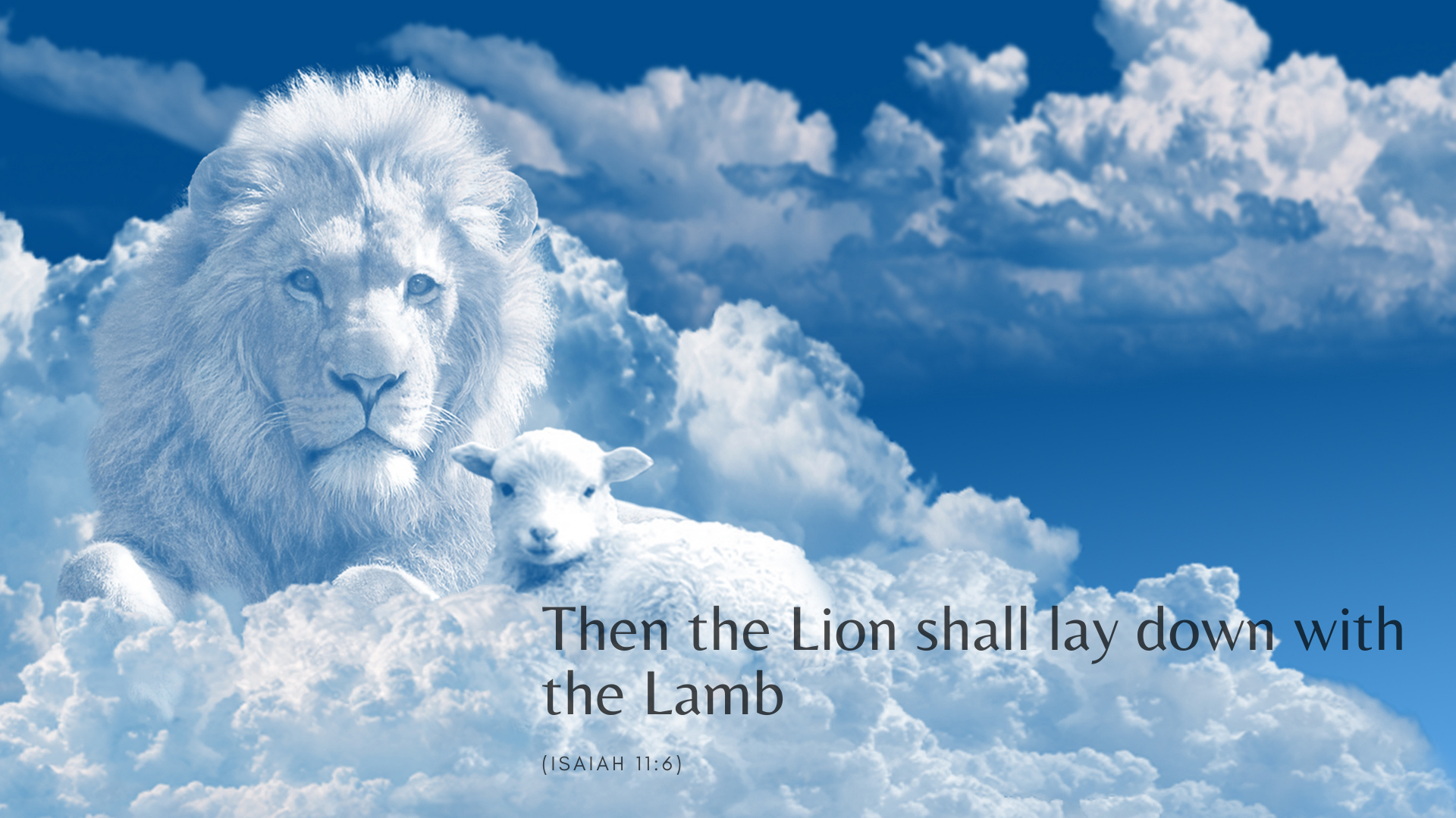 lion