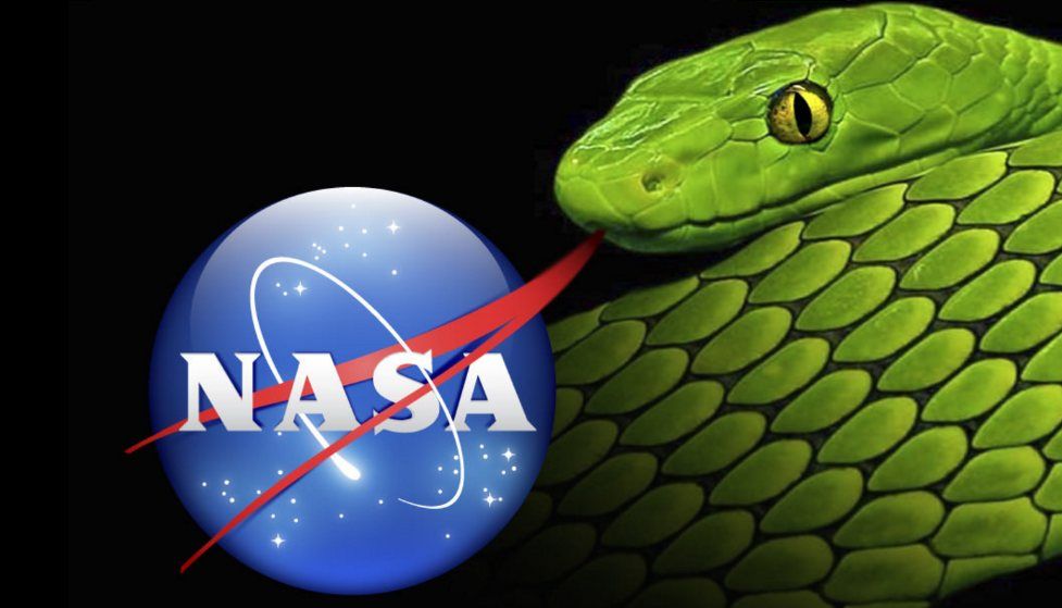 nasasnake