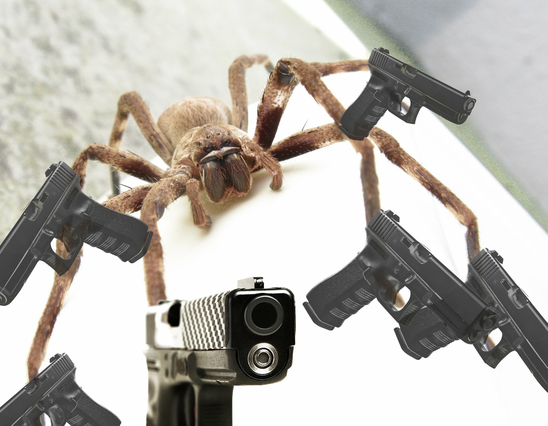 spiderguns.jpg