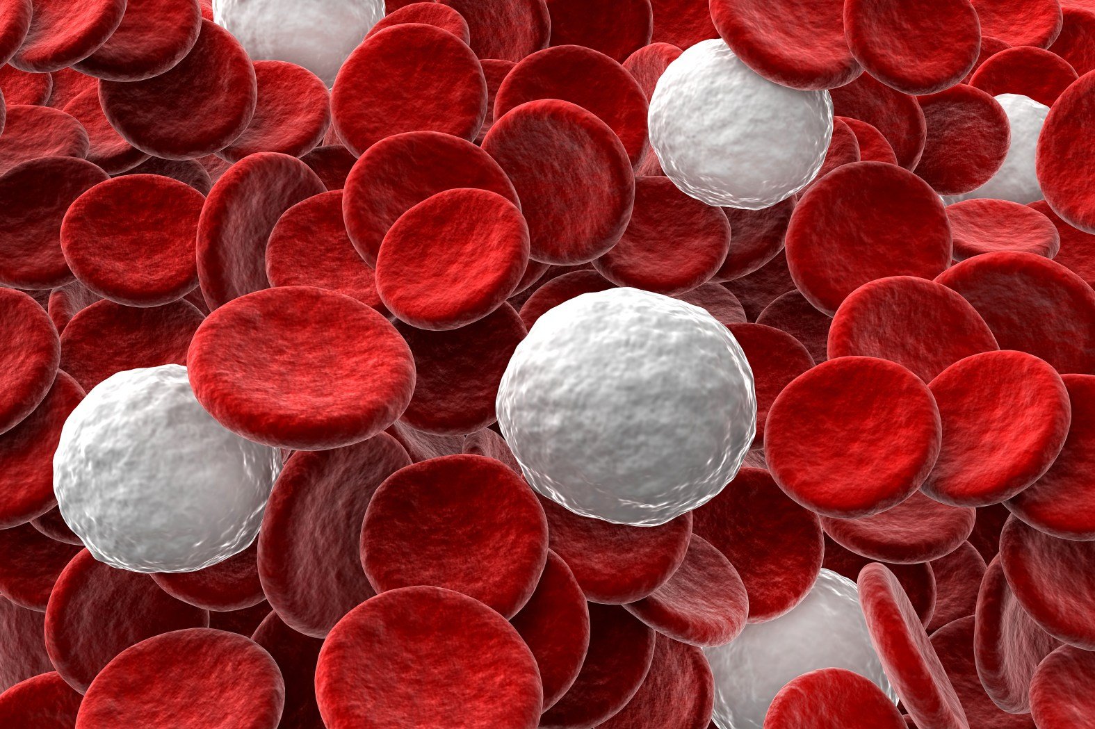 cells